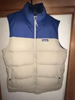 2025年最新】patagonia ダウンベスト・キルティングベストの人気