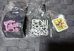 Item thumbnail for item 504535dd-ccfa-4251-9590-7c23ffe04556