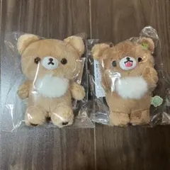 5colorsぬいぐるみ チャイロイコグマ 2色セット - メルカリ