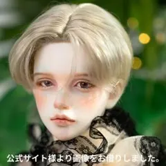 Volks 星間学寮 SDM男の子 ギルバート ヘッド ウィッグ グラスアイ 