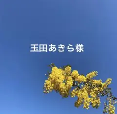 玉田あきら様 リクエスト 3点 まとめ商品