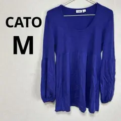 Item thumbnail for item 99996db5-1d83-4004-ad98-e2521845f4e9