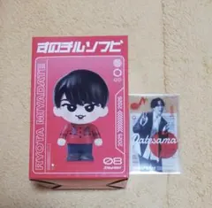 Snow Man ON ドームツアー すのチル ソフビ 宮舘涼太