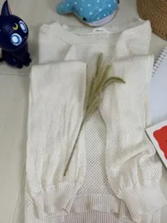 Item thumbnail for item 5b4fe0dc-c15d-4097-bcb7-a0283a8eae23