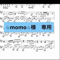 ⭐︎momo⭐︎様　専用