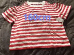 夏物売り尽くしSALE！訳あり新品未使用　GAPTシャツ 160cm
