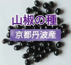 3911○600粒以上山椒の種京都丹波産①送込￥680［260520］ - メルカリ