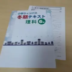 臨海TSPウィンパス 小学5年生 教科書セット 2026年最新】ウィンパス 小学の人気アイテム - メルカリ