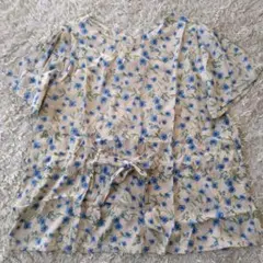 Item thumbnail for item 079ca260-f997-4129-8309-a365ad91d244