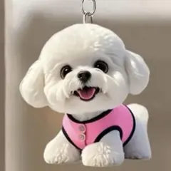 A144 可愛い ビジョンフリーゼ アクリル製 キーホルダー 鞄 バッグ 鍵