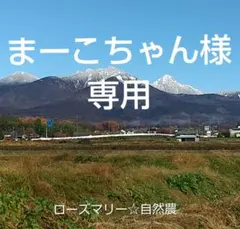 まーこちゃん様 リクエスト 4点 まとめ商品