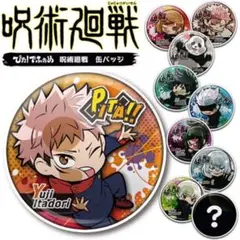 呪術廻戦　ぴた！でふぉめ　缶バッジ　虎杖悠二