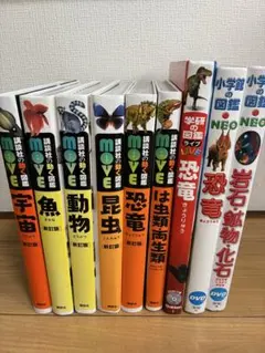 Item thumbnail for item 3105446e-db66-43be-a812-7cee5e7ac503