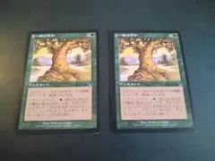 MTG 一瞬の平和 / Moment's Peace [ODY] 4枚セット - メルカリ