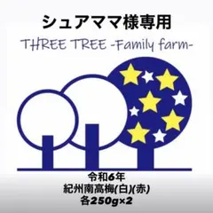 シュアママ様専用! 紀州南高梅(白)(赤)家庭用訳あり各250g×2+赤紫蘇