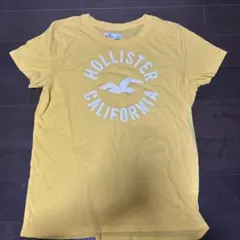 Hollister ホリスター　イエロー Tシャツ Lサイズ