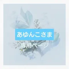✨あゆんこさま専用ページ✨