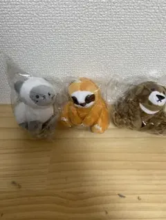 Item thumbnail for item 29b5c640-195b-4e5b-81de-ba35a9c9fcf4