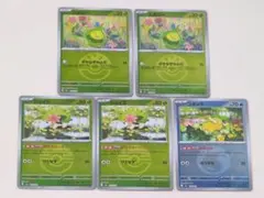 スボミー シェイミ コダック ミラー計5枚まとめ売り