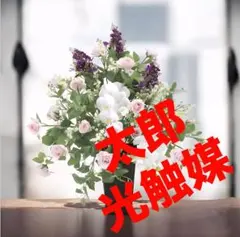 光触媒　人工観葉植物　ウォールグリーン　フェイクグリーン　ファビラスのサムネイル