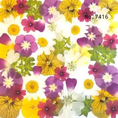 さくら様 リクエスト 3点 まとめ商品