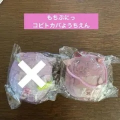 もちぷにっ　コビトカバ　ようちえん　ここあ