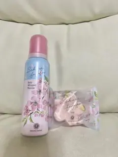 Item thumbnail for item 9530584d-ea37-44c3-9f22-ebff0d3dd8de