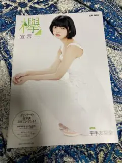 欅宣言 平手友梨奈 新品未使用 欅宣言 平手友梨奈 新品未使用 2025年最新】Yahoo!オークション