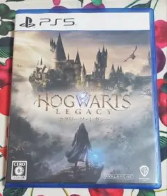 Hogwarts Legacy ホグワーツ・レガシー PS5