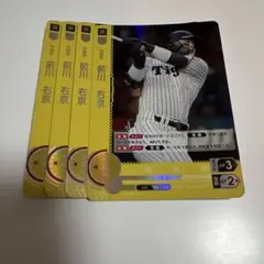 ドリームオーダー 前川右京 PR4枚