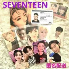♥️SEVENTEEN　ウジトレカ♥️12枚セット セブチ　K-POPアイドル