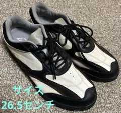 Item thumbnail for item 9db30134-1201-40fd-8d00-8df102392f83