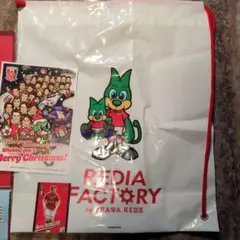 【非売品】浦和レッズ クリアファイル＋マッチデーカード＋Xmasカレンダー他
