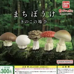 まちぼうけ　きのこの場合　コンプリート　コンプ