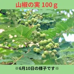 2026年最新】花山椒 100gの人気アイテム - メルカリ