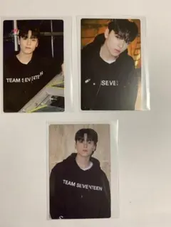 SEVENTEEN  CARATLAND  トレカ　バーノン