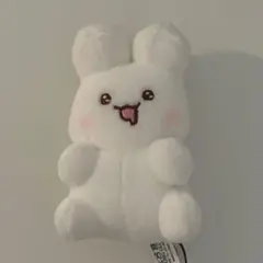 韓国 ぬいぐるみ