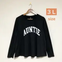 【新品】３Ｌ ゆったり 大きいサイズ シンプルトップス