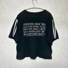 STUSSY 半袖 Tシャツのサムネイル