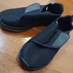 Item thumbnail for item 0469412d-0ec1-440a-a87b-3b8834d7efe7