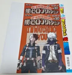 僕のヒーローアカデミア 付録 ブックカバー 轟焦凍 荼毘 2枚 セット