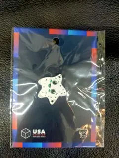 2025年最新】アメリカ館ピンバッジの人気アイテム - メルカリ