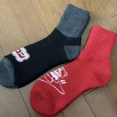 履くホカロン 2足 25～27