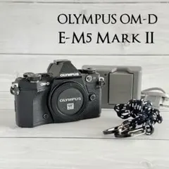 ジャンク　オリンパスOM-D E-M5 ボディ ジャンク オリンパスOM-D E-M5 ボディ オリンパス OM-D E-M5