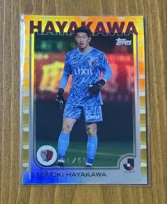 topps jリーグ 鹿島