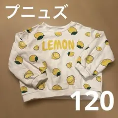 PUNYUS　キッズ　フード総柄スウェット　120 レモン　トップス　LEMON