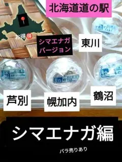 バ*ュ様 北海道2種類道の駅ピンズシマエナガ さっぽろ羊ヶ丘展望台限定