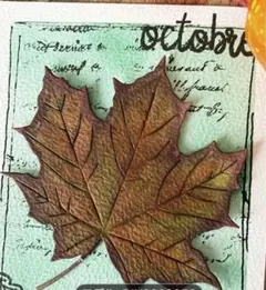 新品SALE 秋のメープルリーフカッティングダイ