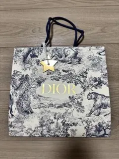 【美品】DIOR ディオール ショッパー 紙袋 限定デザイン 星チャーム付きのサムネイル