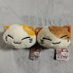 ねむネコ ハートショコラ ぬいぐるみ 2個セット